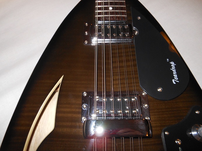 Teardrop Hollow Body 12 String Picture 13